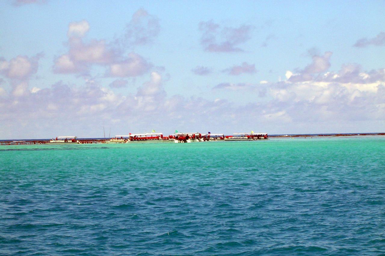 Flat * Maragogi